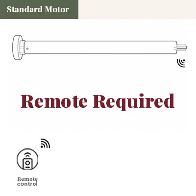 Standard motor with remote control